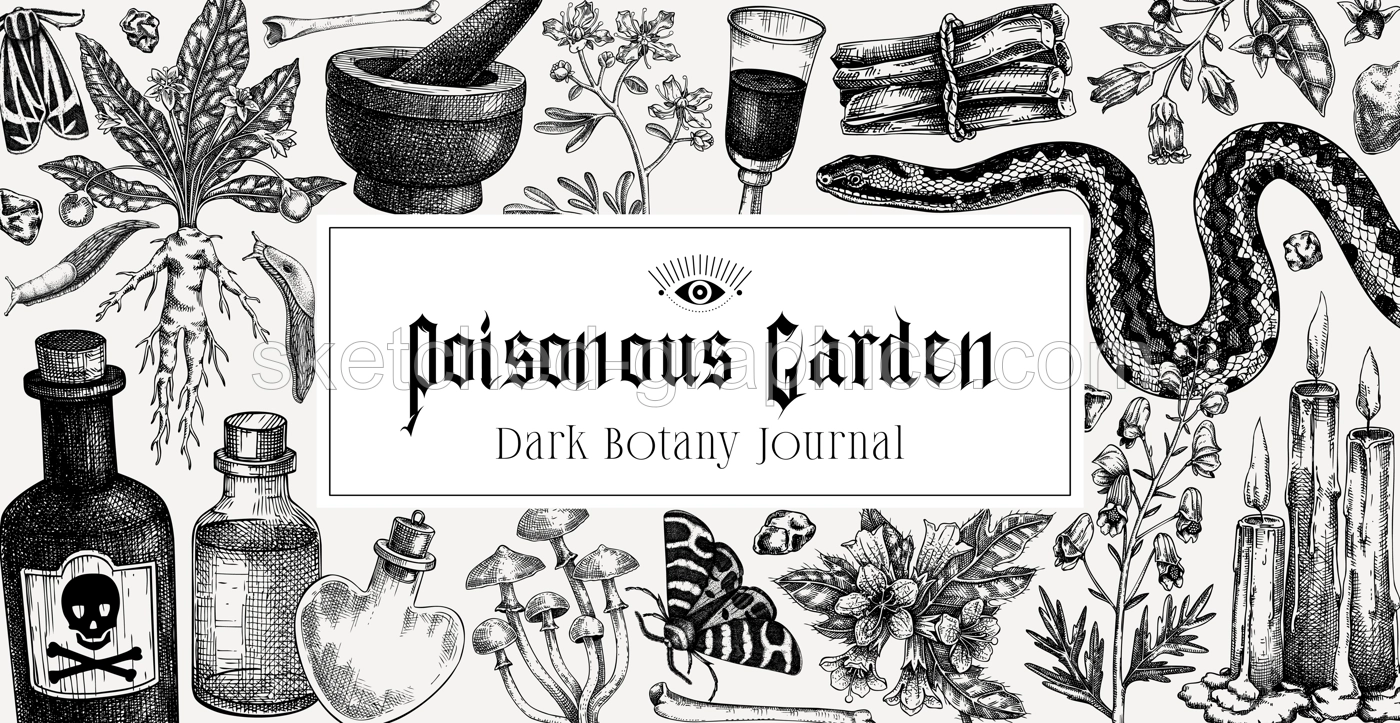 Witchcraft background. Halloween frame design. Bohemian hand drawn vector illustration. Witch herbs, poisonous plants, magic ingredients sketches. NOT AI generated Illustration
